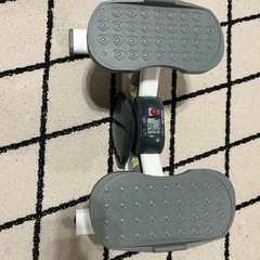 
サイドステッパーの画像