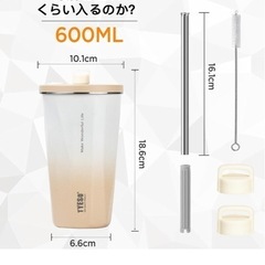 TYESO 真空断熱タンブラー 600mlの画像