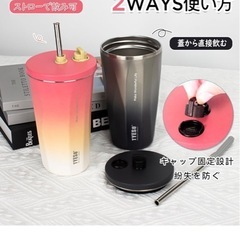 TYESO 真空断熱タンブラー 600mlの画像