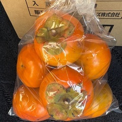富有柿1袋②　400円の画像