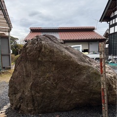 庭石
の画像