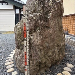 庭石
の画像