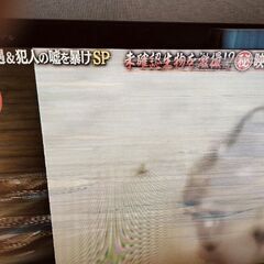 TVの画像