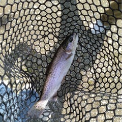 釣りオプチャメンバー募集　参加型🐟