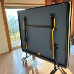 卓球台 国際規格サイズ IGNIO製 練習球・ネット等おまけ付き（引き取り希望）の画像