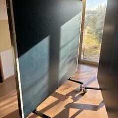 卓球台 国際規格サイズ IGNIO製 練習球・ネット等おまけ付き（引き取り希望）の画像