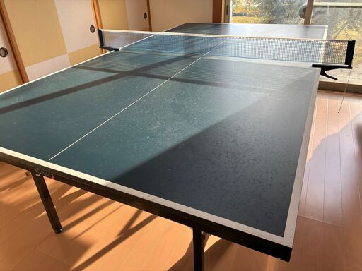 卓球台 IGNIO イグニオ IGNIO 特選品 卓球台 コンパクトサイズ 卓球台 移動