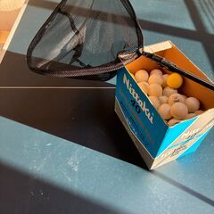 卓球台 国際規格サイズ IGNIO製 練習球・ネット等おまけ付き（引き取り希望）の画像