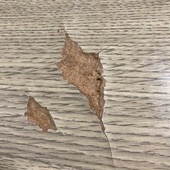 【お譲り先決定しました】こたつの画像