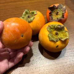 柿　4つの画像