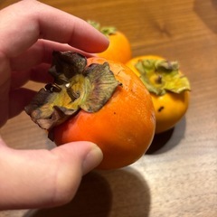 柿　4つの画像