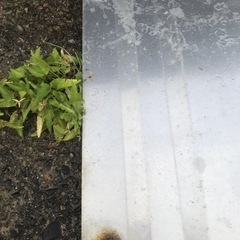 デリカd5 前期　オートフラッグス　アンダーガードの画像