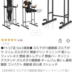 ぶら下がり健康器具の画像
