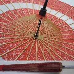 【一度のみの利用】和傘2本セット　蛇の目 花輪の画像