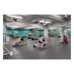 🩰✨土曜日大人バレエ新規生徒さん募集✨🎀の画像