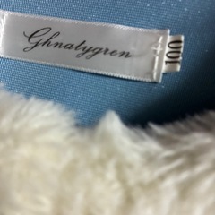 エルサのドレス100
の画像