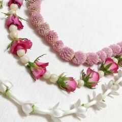 紅葉レイ&神田明神レッスンの画像