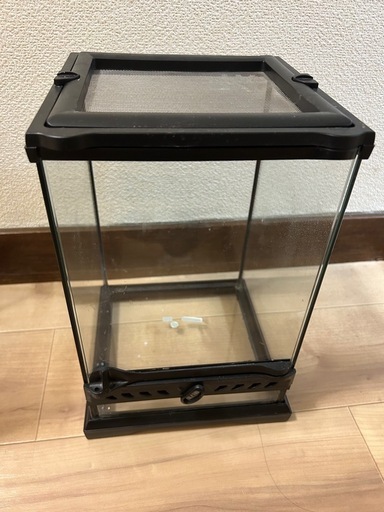 爬虫類ゲージ　グラステラナノ②