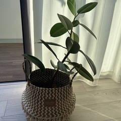 バスケット鉢カバー⭐︎美品です。の画像