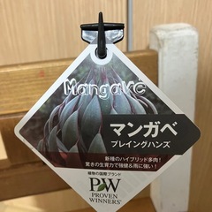 アンガべ　プレイングハンズの画像