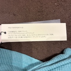 チュニック　フリーサイズ　タグありの画像