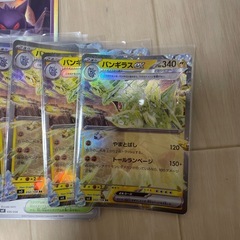 ポケモンカードデッキ
の画像