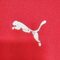 アンダーシャツ11の画像