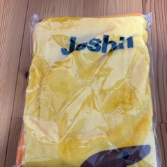 クレパス柄ブランケットの画像