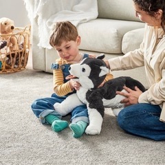 【無料 条件有り】シベリアンハスキーのぬいぐるみの画像