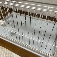 【0円】犬ケージ 犬サークル幅約98cm x 高さ54cm x 奥行54cmの画像