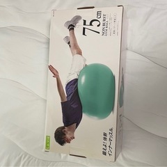 【無料 条件有り】バランスボールの画像