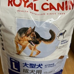 ロイヤルカナン 大型犬用 16Kg×3袋の画像