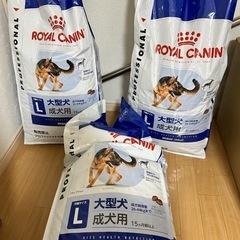 ロイヤルカナン 大型犬用 16Kg×3袋の画像