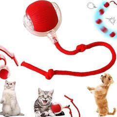 キャットグッズを無料で差し上げますの画像