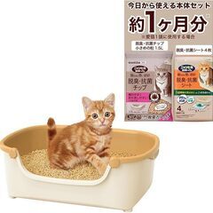 キャットグッズを無料で差し上げますの画像