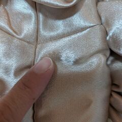 パーティーバッグの画像