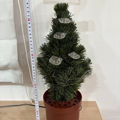 イルミネーションクリスマスツリーの画像
