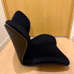 骨盤サポートチェア  Style PREMIUM 座椅子 骨盤矯正　スタイルプレミアム 姿勢矯正の画像