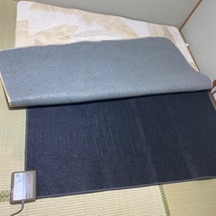2019年パナソニック 製電気カーペットの画像