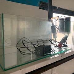 熱帯魚水槽の画像