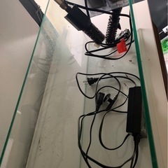 熱帯魚水槽の画像