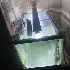 GEX９００水槽セット急ぎ売りの画像