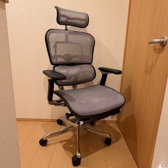 Ergohuman Pro2 ottoman エルゴヒューマン プロ２の画像