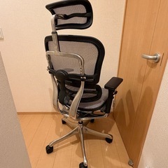 Ergohuman Pro2 ottoman エルゴヒューマン プロ２の画像