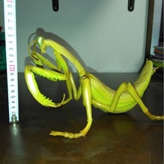 (出品予定)フィギュア㉓の画像