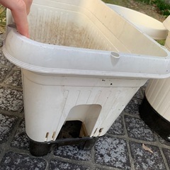プランターの画像