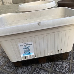 プランターの画像