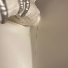 Francfranc 本立ての画像