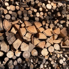 薪　1年以上乾燥の画像