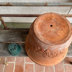 古いテラコッタ/玄関先の主役にの画像
